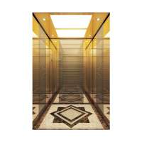 Low Price Commercial New Lift Passenger Elevators for Sale